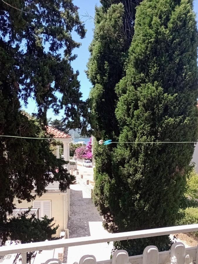 Apartment Brcic Biograd Na Moru Buitenkant foto